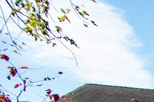 Brookville Townhomes Exterior 51