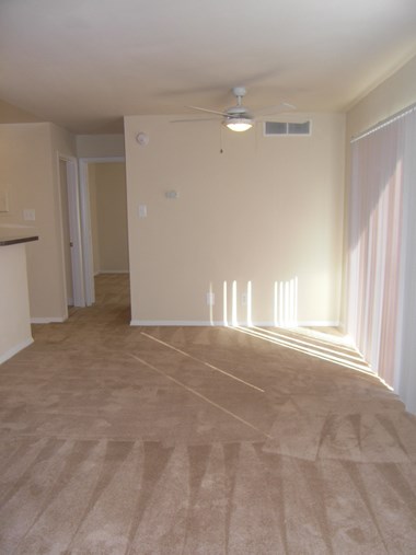 Clermont Apartments optional carpeting - Photo Gallery 4