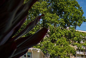 Heritage Park Apartments Pool 5