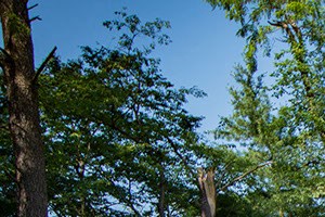 Heritage Park Apartments Playground 1 A