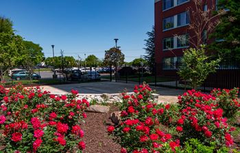 Steward Tower Apartments Courtyard