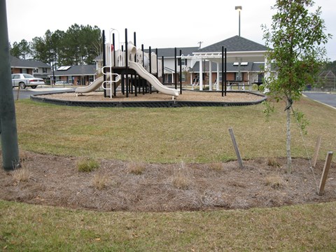 A playground with a slide and a tree in the foreground.