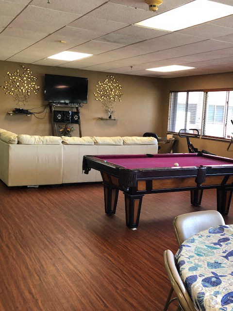 couch, tv, and pool table in community room at Deedco Gardens Senior Apartments