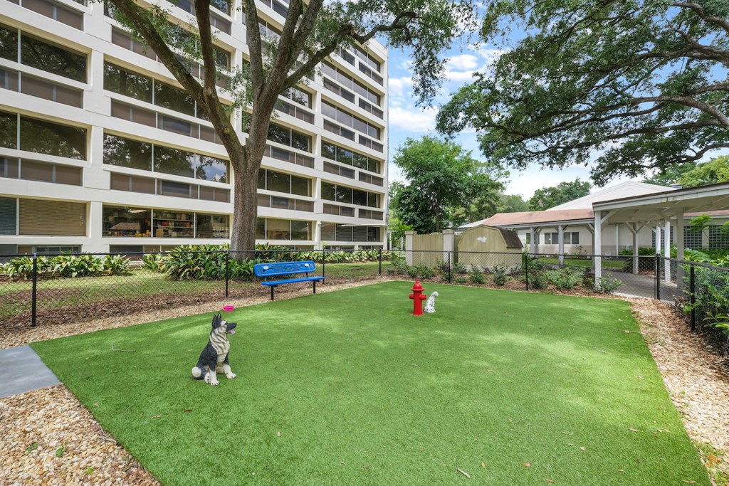 spacious fenced dog park at pet-friendly Sundale Manor Senior Apartments