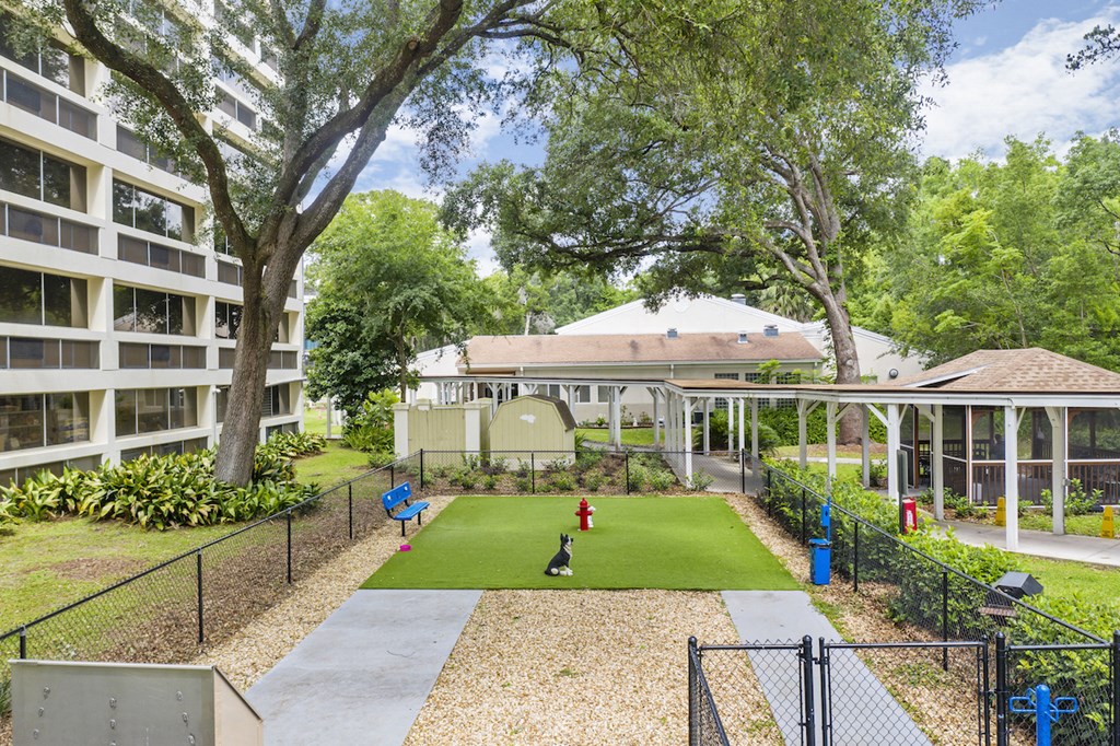 spacious fenced dog park at pet-friendly Sundale Manor Senior Apartments