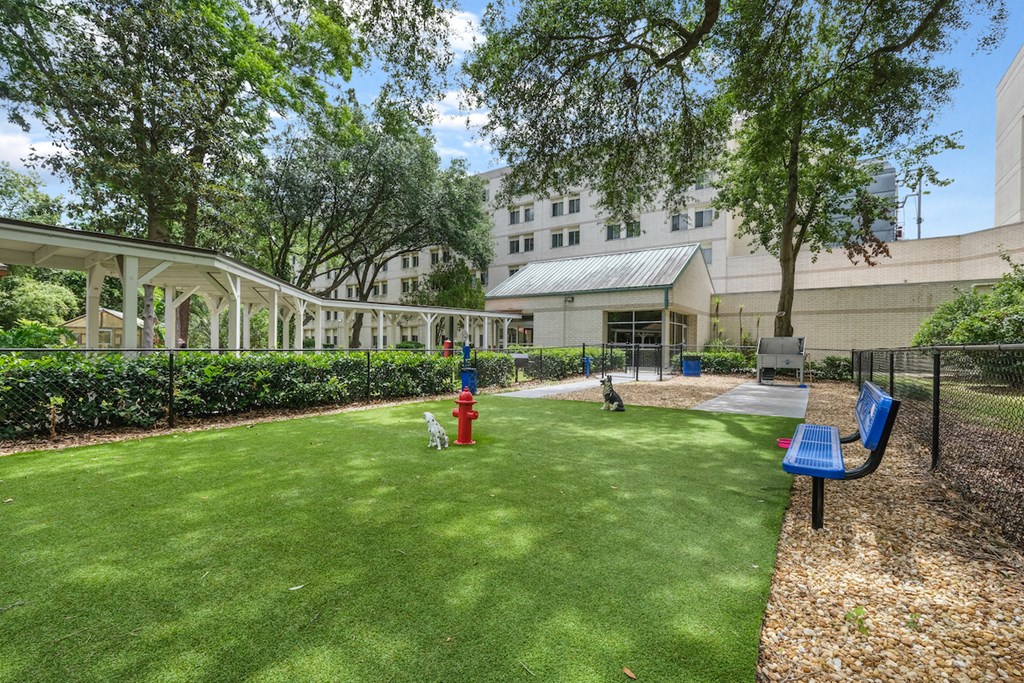 lush green dog park with bench and fire hydrant in dog park at Sundale Manor