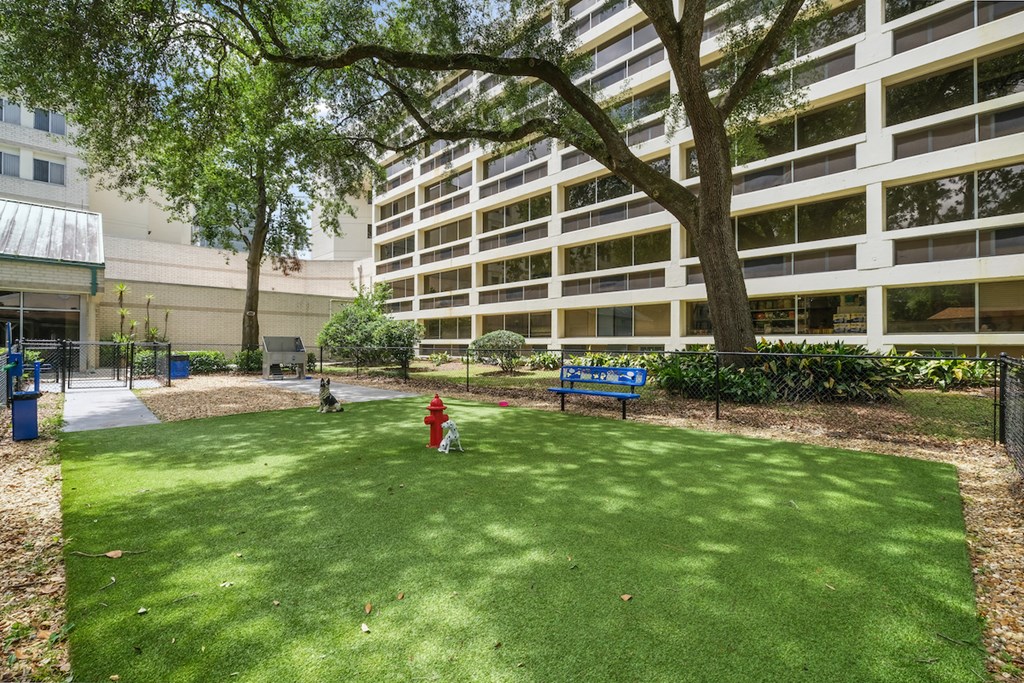 large fenced dog park with bench, fire hydrant, and spacious green area
