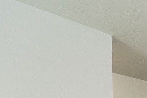 Renton Apartments - The Aviator Apartments - Hallway, Closet, Entryway, Living Room, Bedroom, and Kitchen Renton Apartments - The Aviator Apartments - Hallway, Closet, Entryway, Living Room, Bedroom, and Kitchen