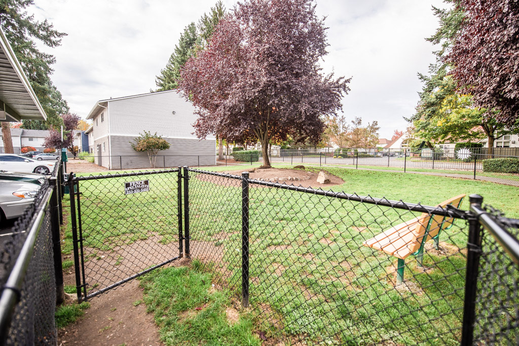 Kent Apartments - Driftwood Apartments - Dog Park
