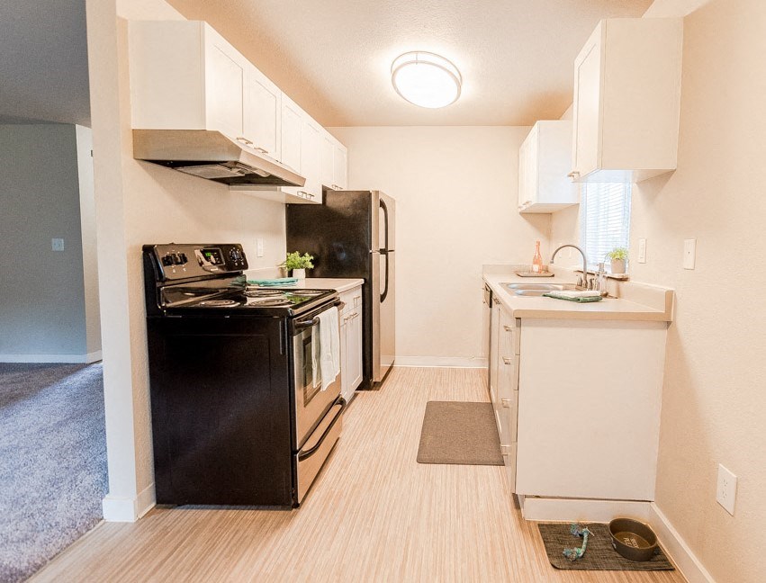 a kitchen with a stove refrigerator and a sink