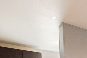 Kent Apartments - Vibe Apartments - Dining Room and Kitchen Kent Apartments - Vibe Apartments - Dining Room and Kitchen - Photo Gallery