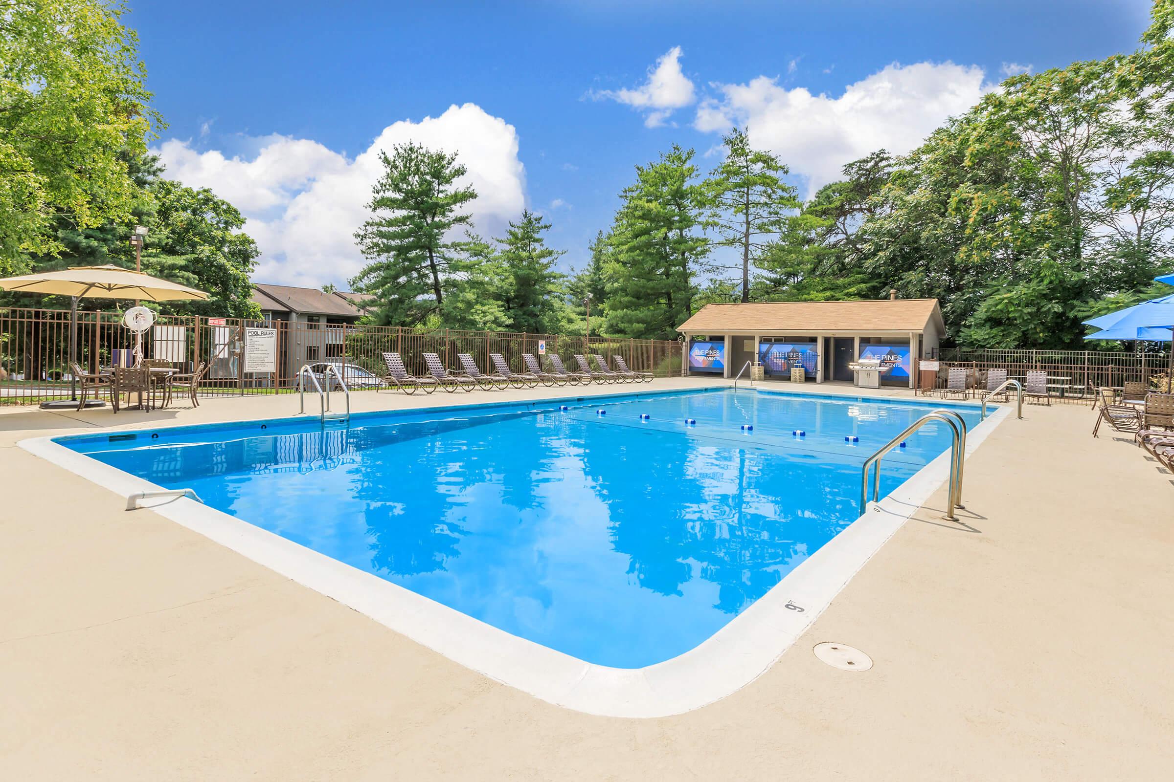 The Pines Of Roanoke