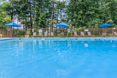 a large blue pool with chairs and umbrellas in front of trees