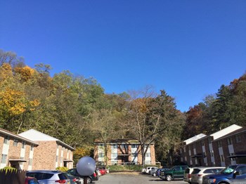 509 Lake Street Studio-2 Beds Apartment for Rent - Photo Gallery 2