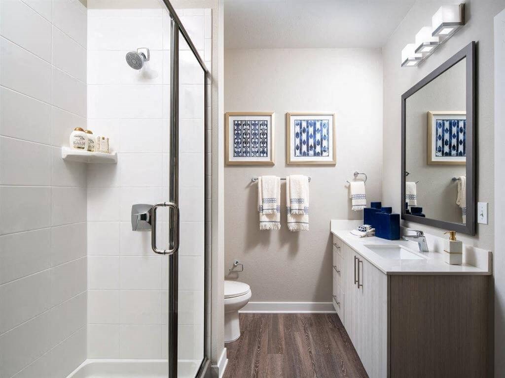 Enclosed glass shower and quartz countertops