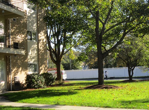 a yard with trees in front of an apartment building