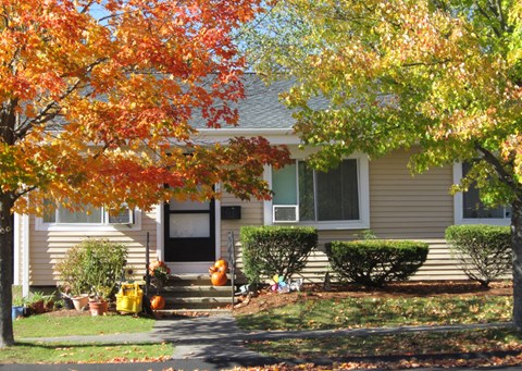 the front of a house with trees in front of it