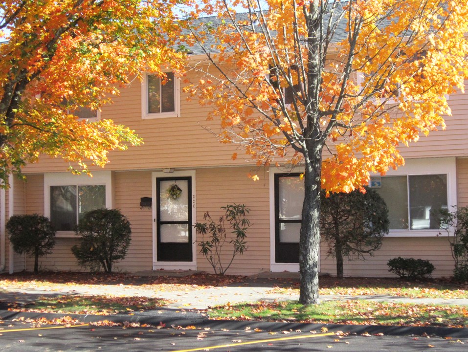 a house with a tree in front of it