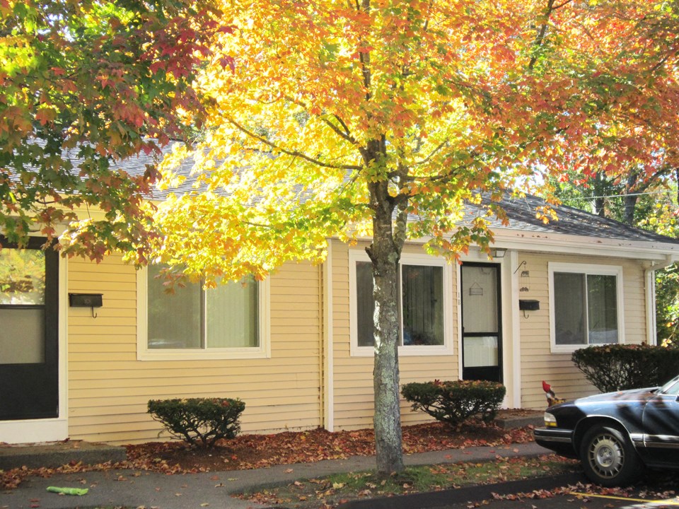 a yellow house with a tree in front of it