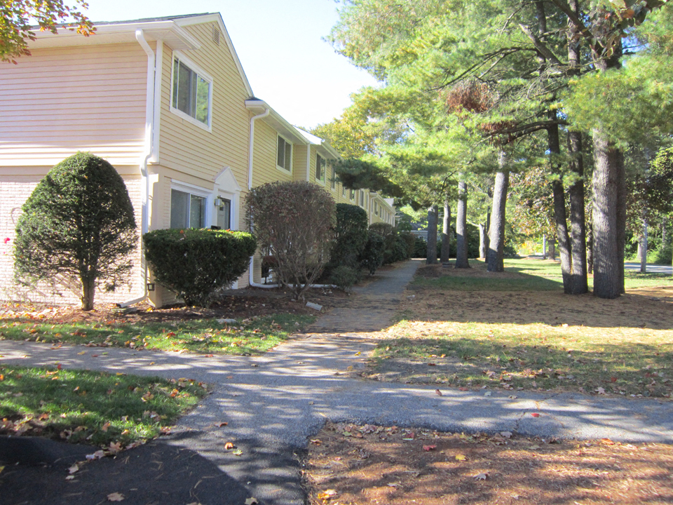 a tree lined sidewalk in front of a house