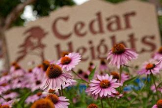 a group of pink flowers in front of a sign