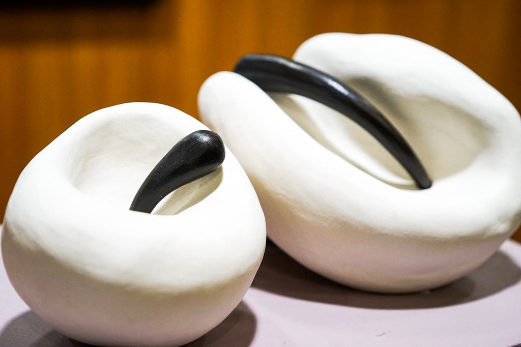 two white swiss cheese wedges with a black ring on top of them