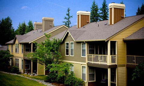 a yellow house with a tree in front of it