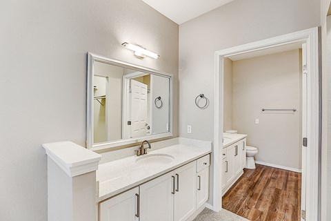 a bathroom with a large mirror and a sink