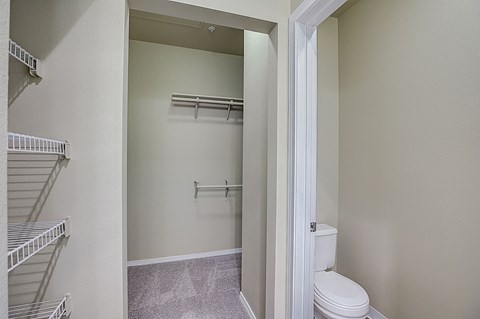 a bathroom with a closet and a toilet and a mirrored door