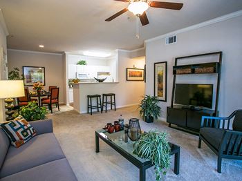 Spacious Model Living Room with Carpet and Ceiling Fan at Rolling Oaks Apartments on Lyon Road
