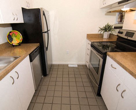 a kitchen with a stove refrigerator and a sink