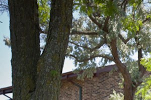 Apartments For Rent In 53223 Wi Rentcafe