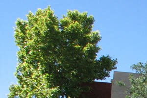 Apartment Photos And Videos Mesa Ridge In Albuquerque Nm