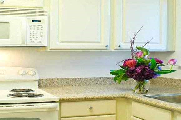 a kitchen with a vase of flowers on the counter