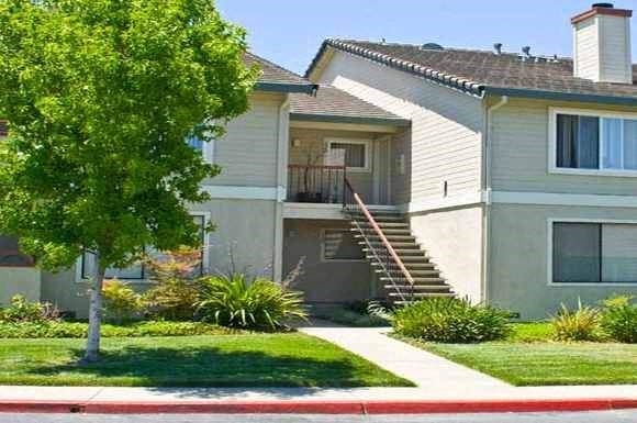 an apartment building with stairs and a tree in the yard