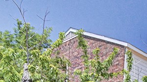 Lakeway Point Apartments In Garland Tx