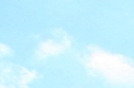 Parkview Manor Apartments Tonawanda Apartments For Rent