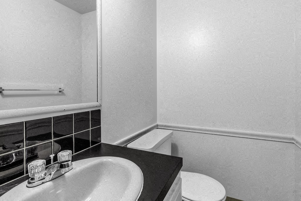 a bathroom with a sink and a toilet