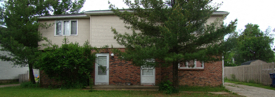 A small house with a white door and a tree in front.