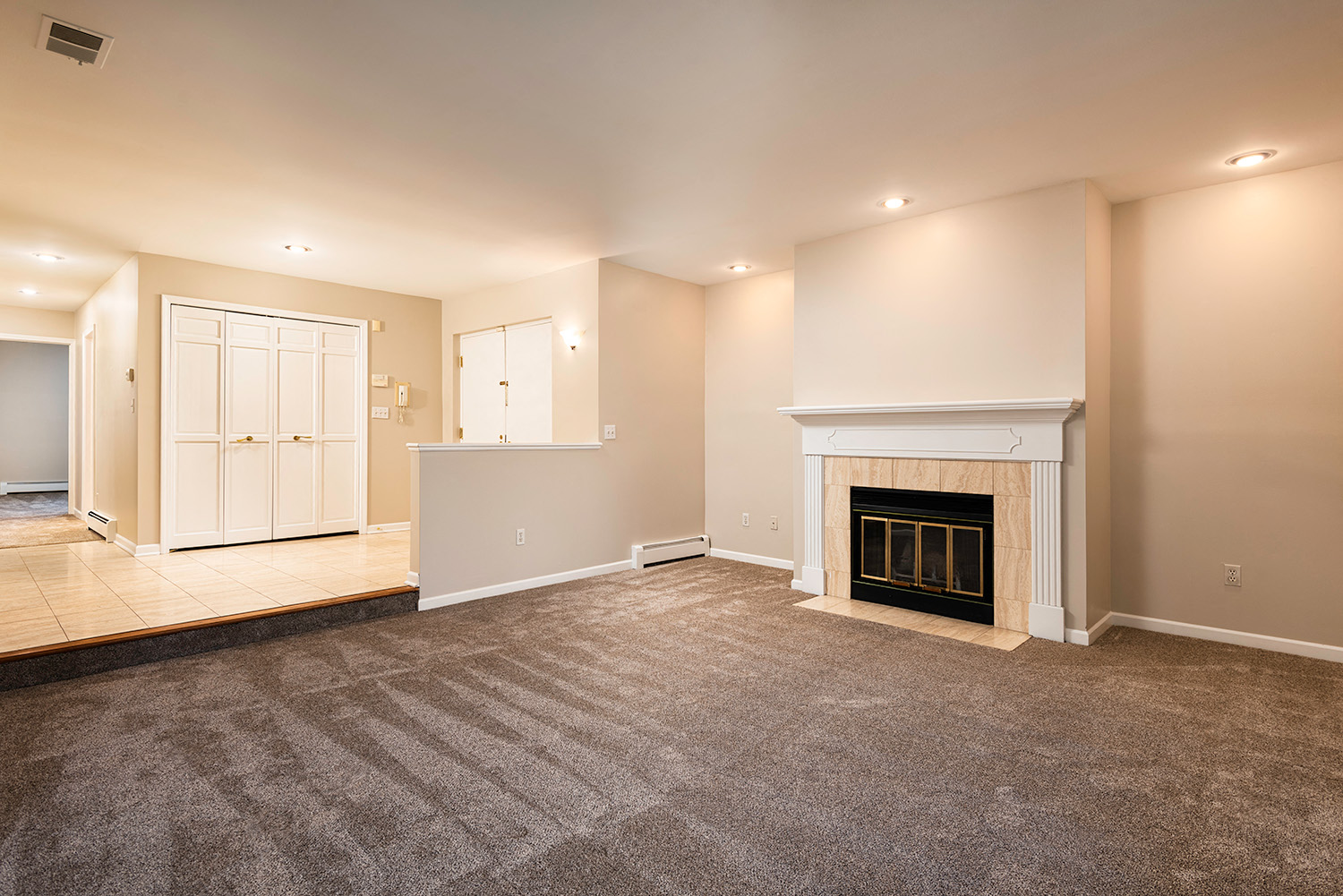 a living room with a fireplace and a rug