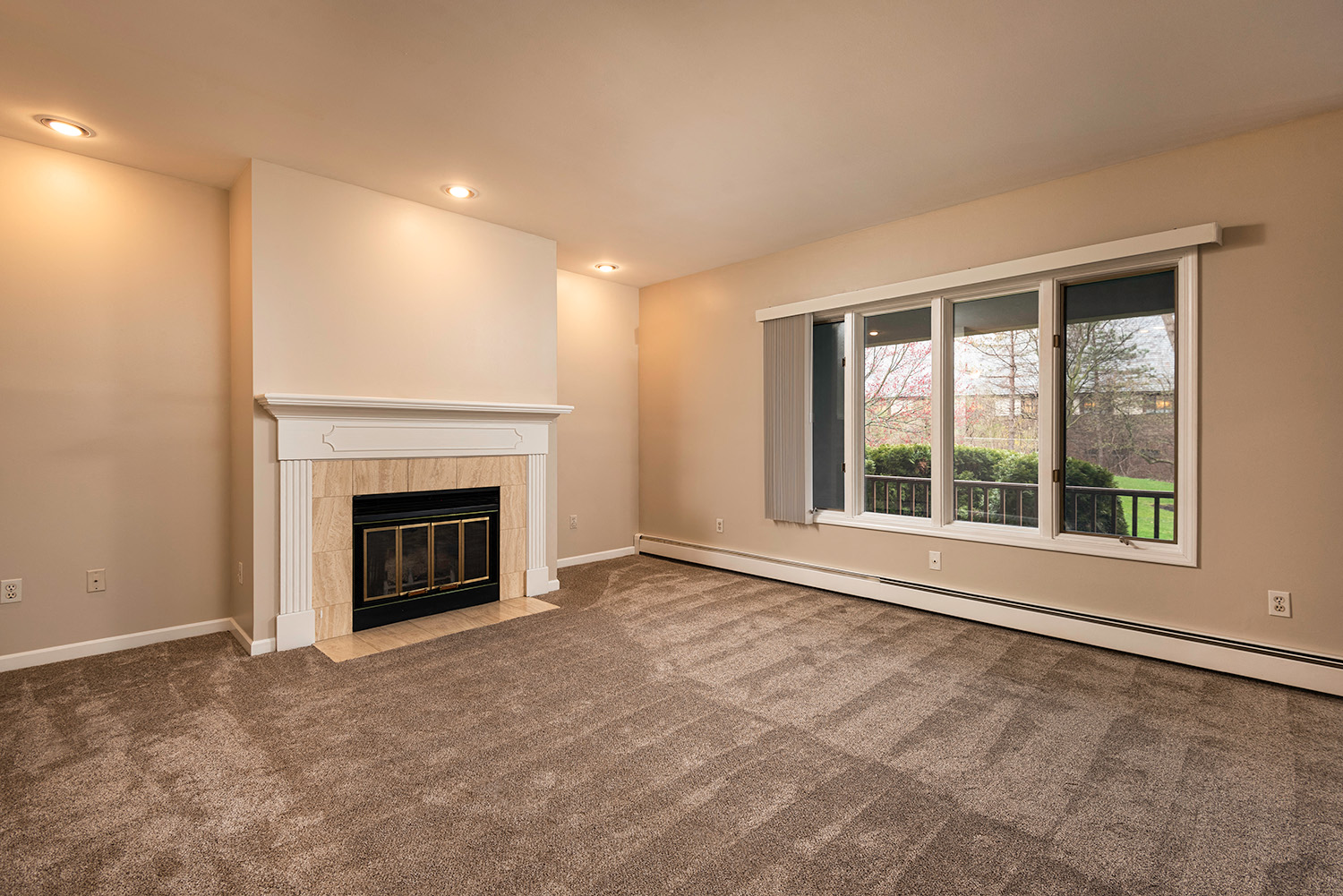 Living Room with Fireplace