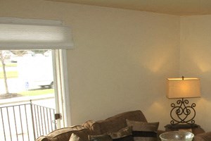 Olde Towne Village Apartments - Living Room Olde Towne Village in Tonawanda NY - Living Room - Photo Gallery 5