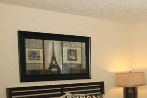 Peppertree Village Apartments - 1 Bedroom Peppertree Village Apartments - One-bedroom, One-Bath Units in Amherst New York – Closet – Master - Private Storage - Ceiling Fan - Ask for a Tour - Pet Friendly