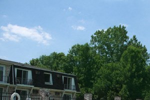 Peppertree Village Apartments - Pool and Patio Peppertree Village Apartments - One-bedroom, One-Bath Units – Locked Entry Doors to Apartment Buildings – Sweet Home Schools – Swimming Pool – Private Storage - Pet Friendly