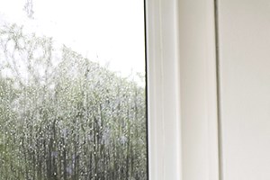 4200 Middlebranch NE 1-2 Beds Apartment for Rent - Photo Gallery 4