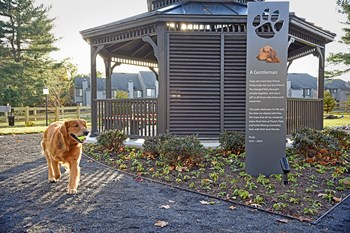 Dog Park at Blue Bell Villas, Blue Bell, PA - Photo Gallery 9