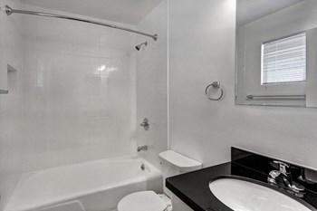 230 Dolores St. 1 Bed Apartment for Rent - Photo Gallery 3