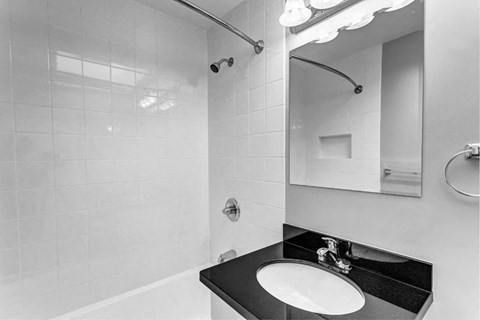 a bathroom with a sink and a mirror and a shower