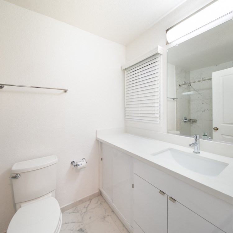 a bathroom with a toilet and a sink and a mirror