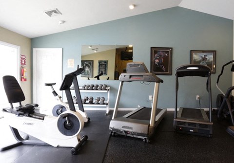 A gym with a variety of cardio equipment including treadmills, elliptical machines, and a stationary bike.